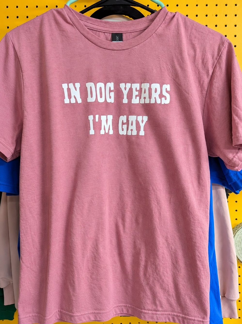 IN DOG YEARS IM GAY